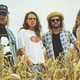 Image for article titled Dive into the genesis of alt-country with a stream of the new reissues of The Bottle Rockets' first two records